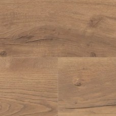 Лісабонський дуб світло-коричневий